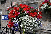 IMG_1491.JPG