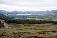 IMG_1538.JPG