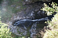 IMG_1562.JPG