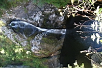 IMG_1563.JPG