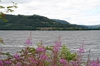 IMG_1566.JPG