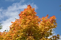IMG_1582.JPG