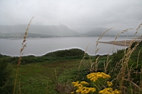 IMG_1586.JPG