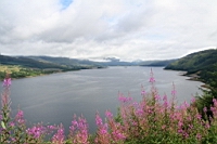 IMG_1596.JPG