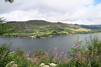 IMG_1599.JPG