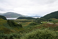 IMG_1601.JPG