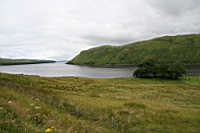 IMG_1612.JPG