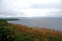 IMG_1625.JPG