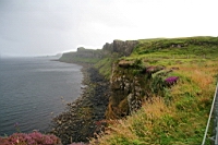 IMG_1648.JPG