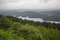 IMG_1663.JPG