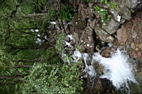 IMG_1691.JPG
