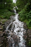 IMG_1692.JPG