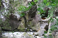 IMG_1695.JPG