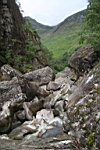 IMG_1715.JPG