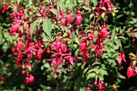 IMG_1791.JPG