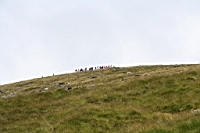 IMG_1814.JPG
