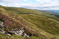 IMG_1858.JPG