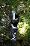 IMG_1867.JPG