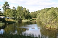 IMG_1875.JPG