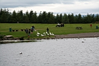IMG_7619.JPG
