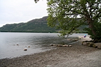 IMG_7621.JPG