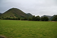 IMG_7623.JPG
