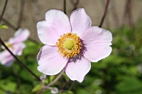 IMG_7633.JPG