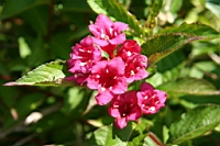 IMG_7634.JPG