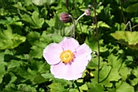 IMG_7635.JPG