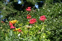 IMG_7637.JPG