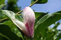 IMG_7638.JPG