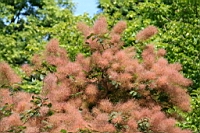 IMG_7639.JPG