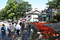 IMG_7642.JPG