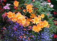 IMG_7645.JPG
