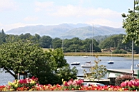 IMG_7648.JPG