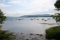 IMG_7652.JPG