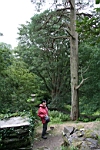IMG_7679.JPG