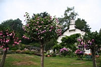 IMG_7682.JPG