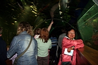 IMG_7703.JPG