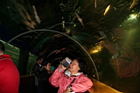 IMG_7706.JPG