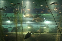 IMG_7710.JPG