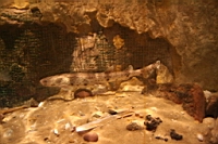 IMG_7712.JPG