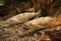 IMG_7715.JPG