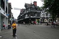 IMG_7800.JPG