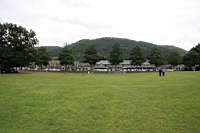IMG_7817.JPG
