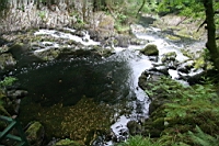 IMG_7820.JPG