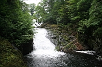 IMG_7821.JPG