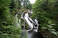 IMG_7822.JPG