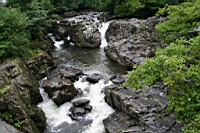 IMG_7824.JPG