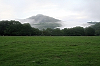 IMG_7828.JPG